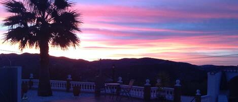 A pool area with a palm tree, outdoor seating, and a view of the hills during sunset.