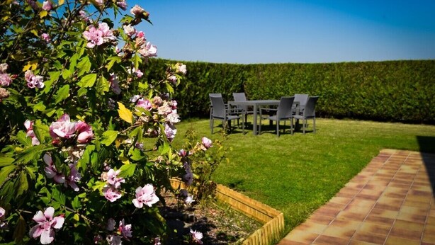 A garden with a patio area, a table with chairs, and a hedge in the background. - holiday home for 10 people (Oostvleteren)
