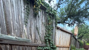 A wooden deck with two wicker chairs and a small round table. - Casa Indigo -- Cozy & Chic in GREAT LOCATION! (San Antonio)
