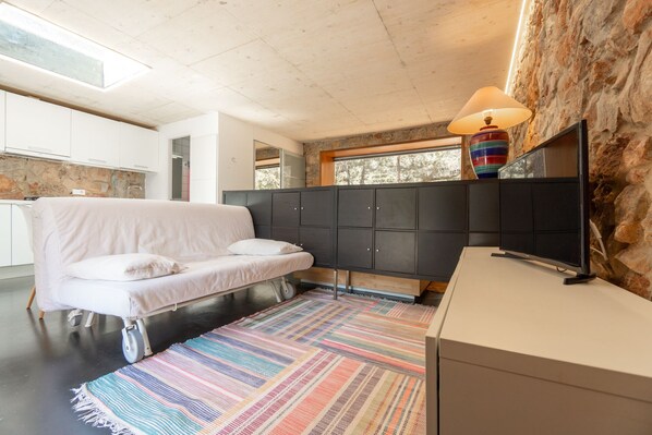 TV, DVD player, books, video library