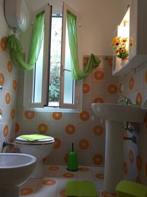 Shower, bidet, soap, toilet paper