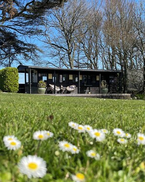 Exterior - Romantic Vintage Carriage in 2 acres!❤️Idyllic location, 5 min walk beach & pub! (Helston)