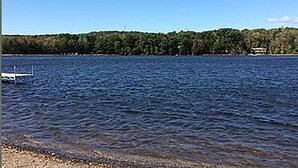 Unclassified image, 3 of 3, button - Chateau della Croix (Pocono Pines)