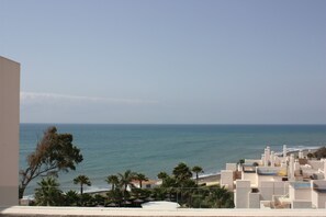 Beach/ocean view