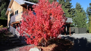Front of property - Apartment at Mapleview (Lake Tekapo)