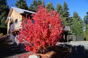 Front of property - Apartment at Mapleview (Lake Tekapo)