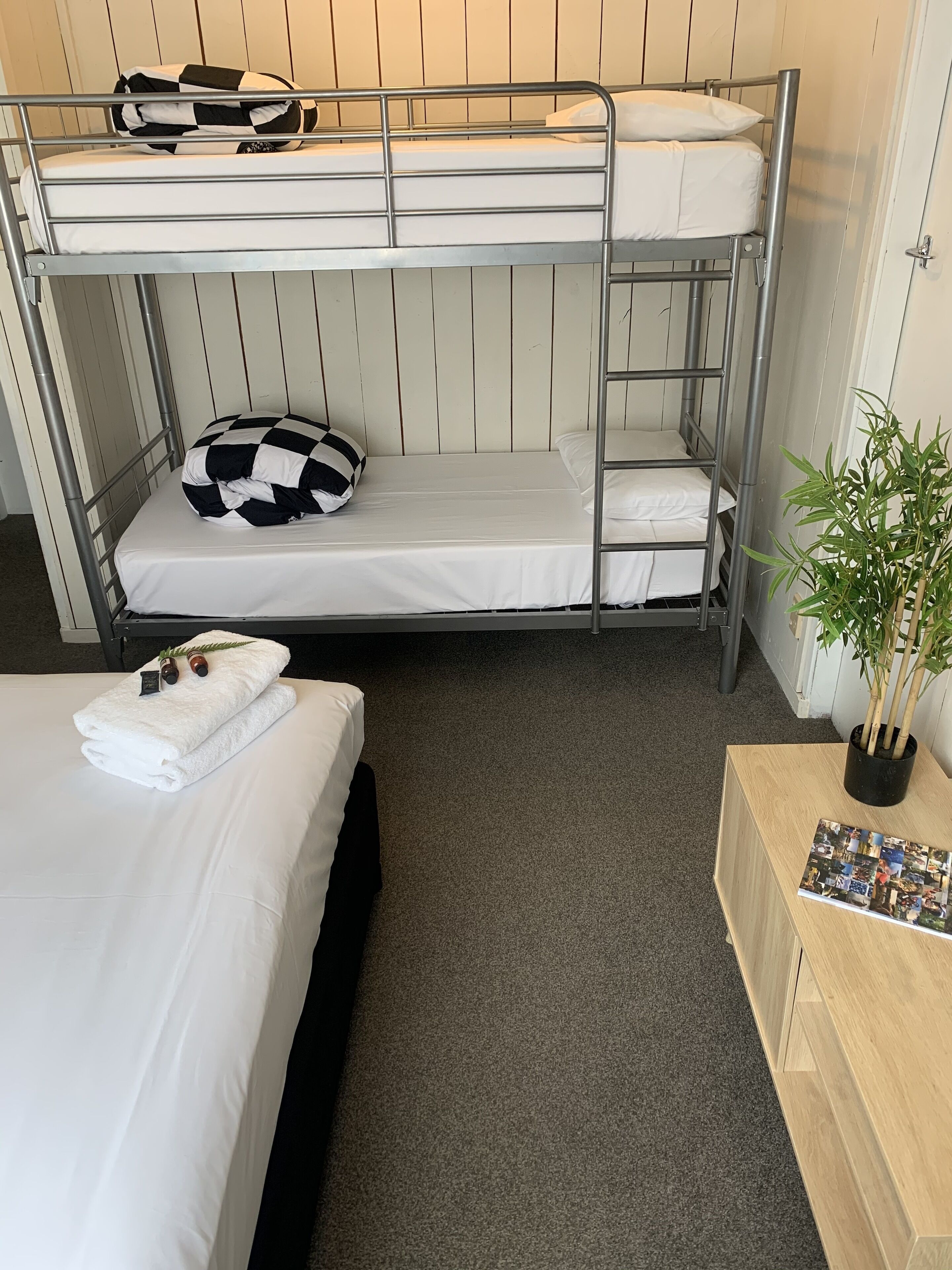 A bunk bed room with a lower bunk and a single bed. There is a plant on a wooden table beside the bed.