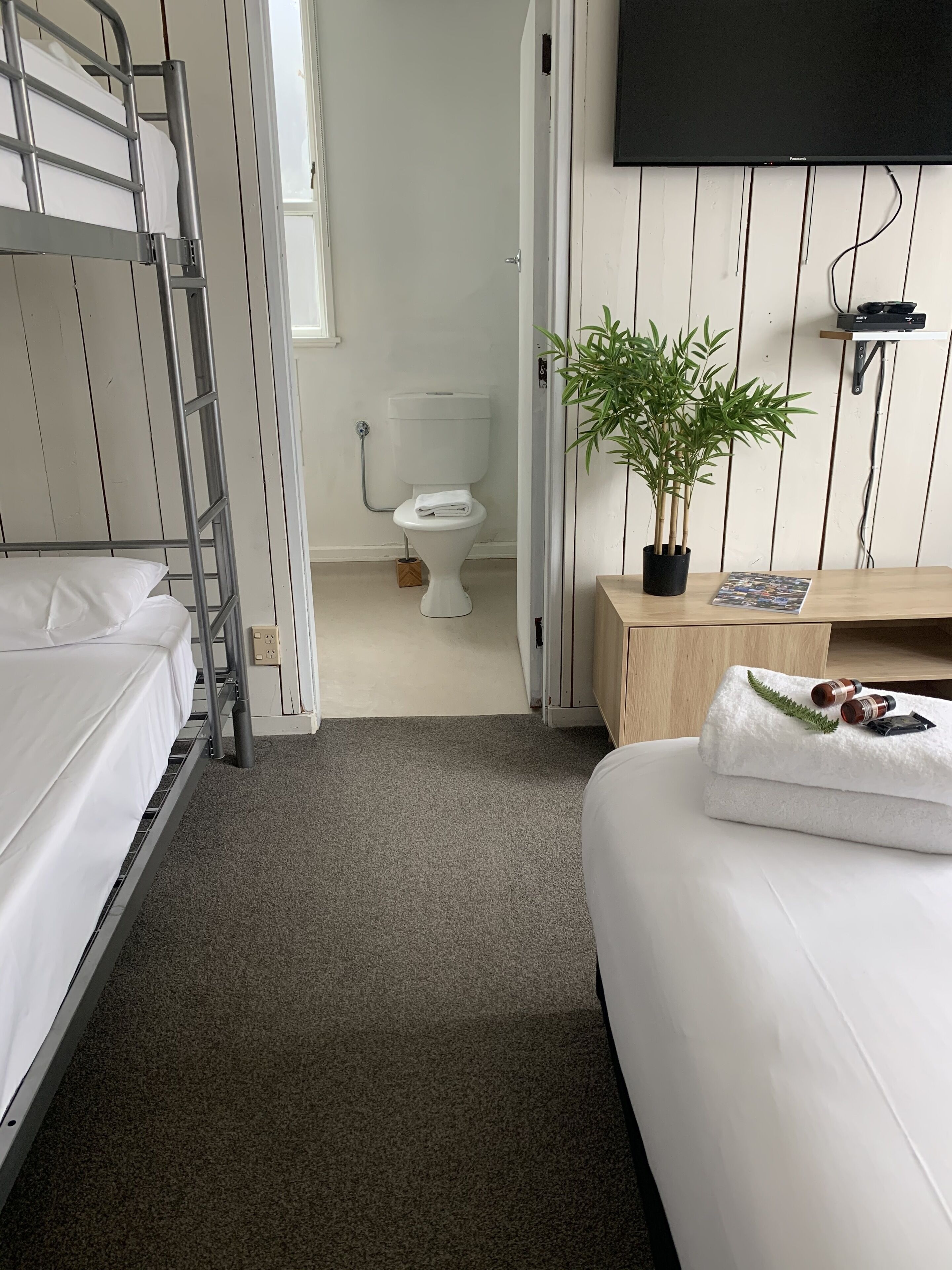 Habitación de hotel con literas, un inodoro, una planta en maceta, un televisor y una mesita de noche con toalla y artículos de aseo.