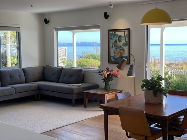 Smart TV, fireplace, DVD player, books