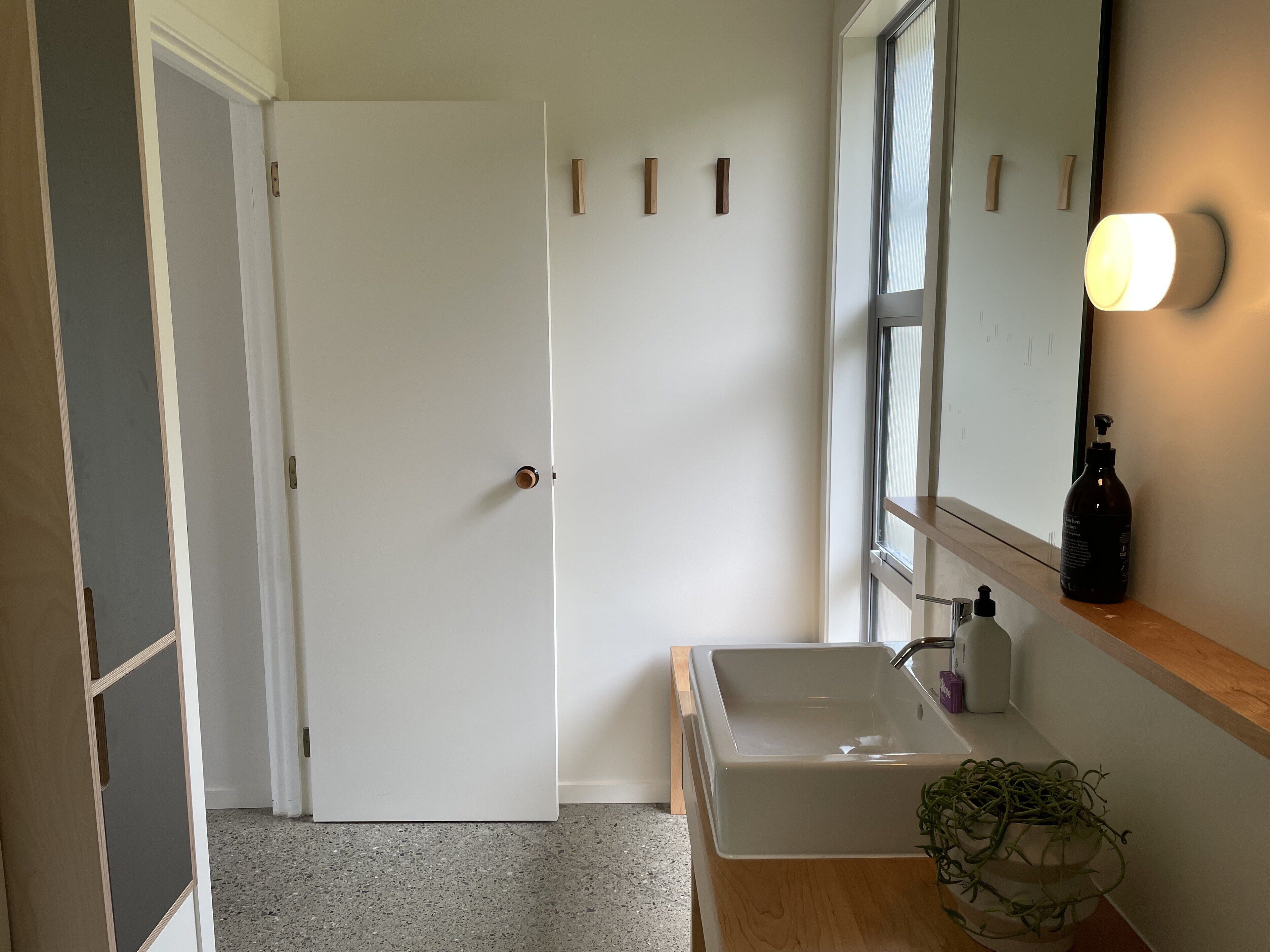 A bathroom with a white sink, a mirror, a bottle of hand sanitizer, and a potted plant.