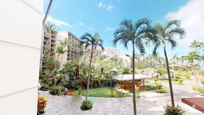 テラス / パティオ