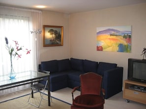 TV, DVD-spiller, bøker og filmbibliotek