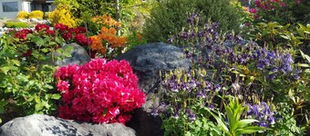 Marie Therese Bed & Breakfast