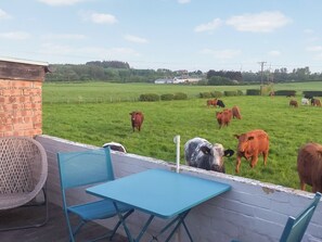 A patio with a table and chairs overlooking a grassy field with cows.