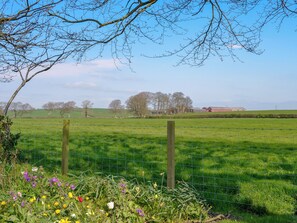 A rural landscape with a green field, a wire fence, and a red barn in the distance.