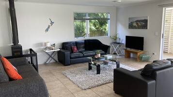 Télévision, cheminée, livres, chaßne hi-fi