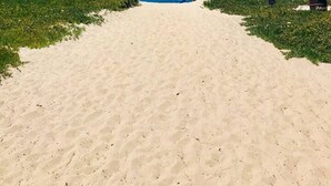 A sandy beach path leading to the sea with a clear sky. - Darling Carpinteria Beach Getaway (Carpinteria)