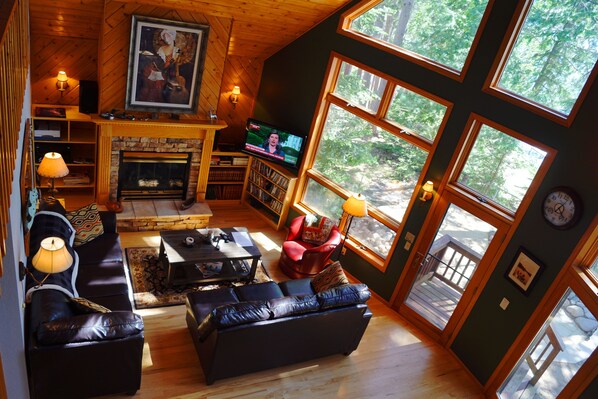 Televisión, chimenea, reproductor de DVD y libros 