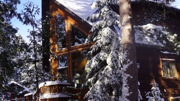 Une cabane en bois dotée de grandes fenêtres et d’une terrasse, entourée d’arbres couverts de neige.