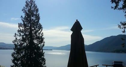 Amazing views of Lake Chelan! Unique "Treehouse" cabin with 2 bedrooms & 1 bath