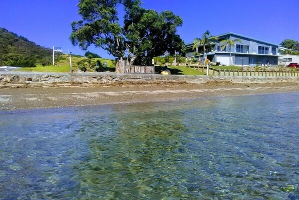 A beachfront property with clear water, a large tree, and a modern house.
