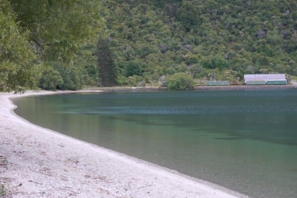 Una escena tranquila junto al lago, con una playa arenosa y un bosque verde y frondoso al fondo.