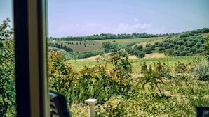 Un patio con dos sillas y una mesa, con vistas a un paisaje verde con árboles y campos.