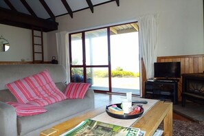 TV, fireplace, DVD player, stereo