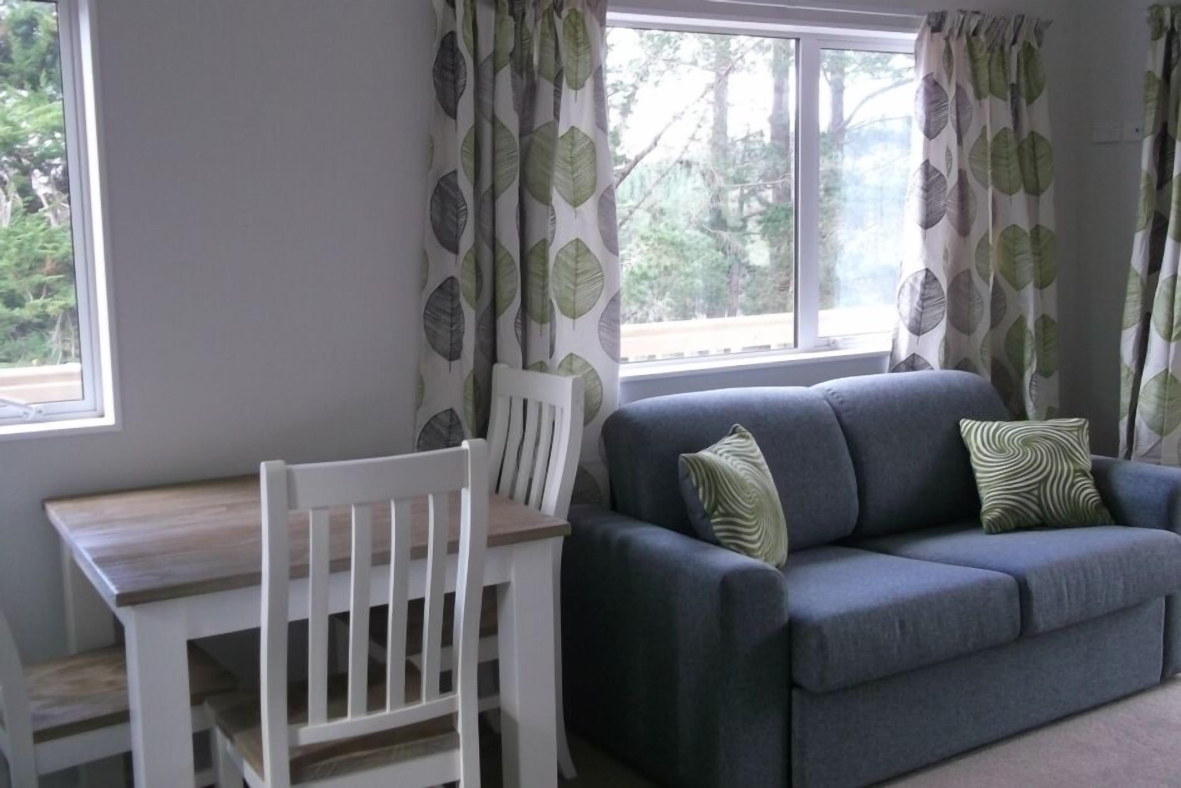 电视、壁炉、DVD 播放器、书