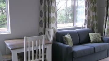 テレビ、暖炉、DVD プレーヤー、書庫