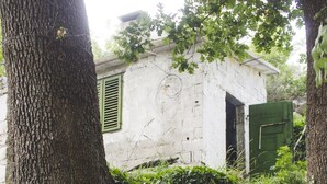Un escalier en pierre mène à un bâtiment blanc doté d’une porte verte, le tout étant entouré de verdure et d’arbres.