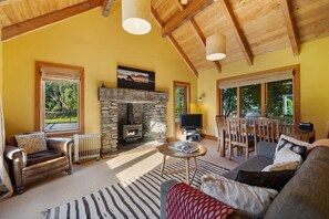 Télévision, cheminée, lecteur de DVD, chaîne hi-fi