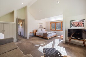 Télévision, cheminée, lecteur de DVD, chaîne hi-fi