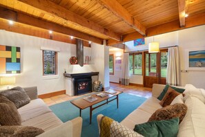 Télévision, cheminée, lecteur de DVD, chaîne hi-fi