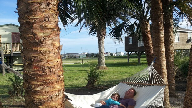 A hammock between palm trees in a grassy area with houses in the background.