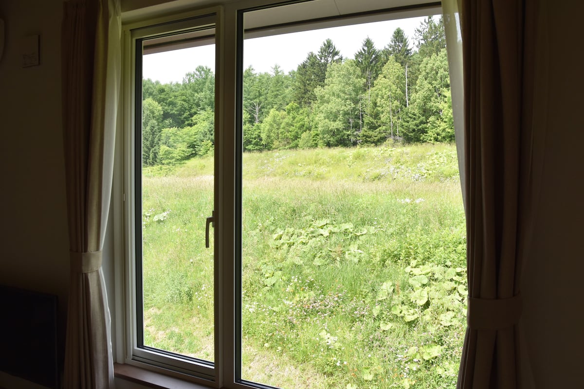 view from room