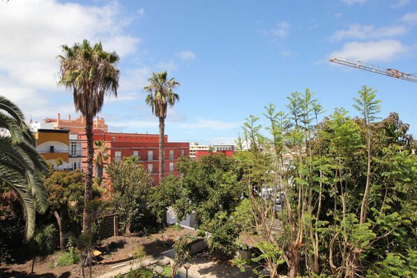 Un jardín con palmeras y diversos arbustos, un edificio rojo al fondo y una grúa de construcción.