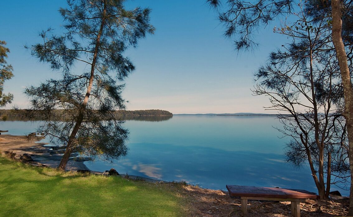 Une vue sur le lac, avec un banc et des arbres.