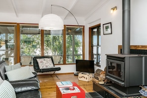 TV, fireplace, books