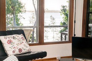 TV, fireplace, books