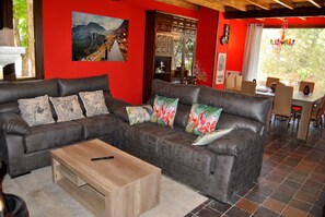 TV, fireplace, video game console, DVD player