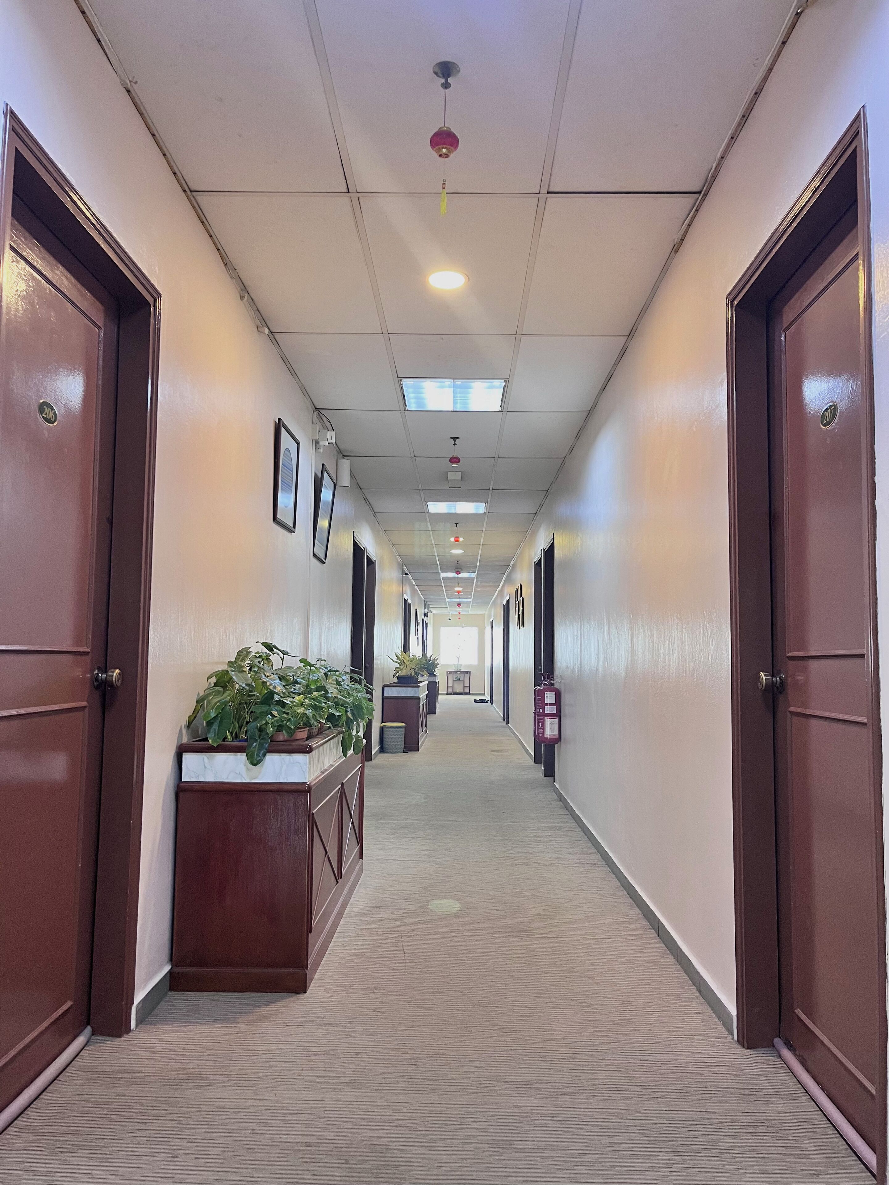 A long, narrow hallway with doors on both sides, a carpeted floor, and ceiling lights.