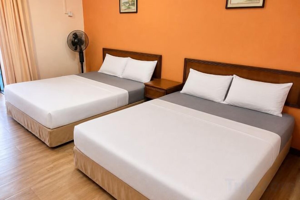 Escriptori, espai de treball apte per a portàtils i cortines opaques