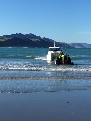 Plage à proximité, chaises longues