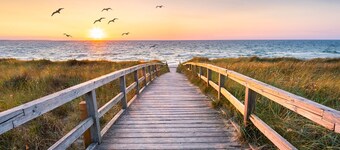 Pleasure Island Beach -kokoelma - Kalypsos-pesä