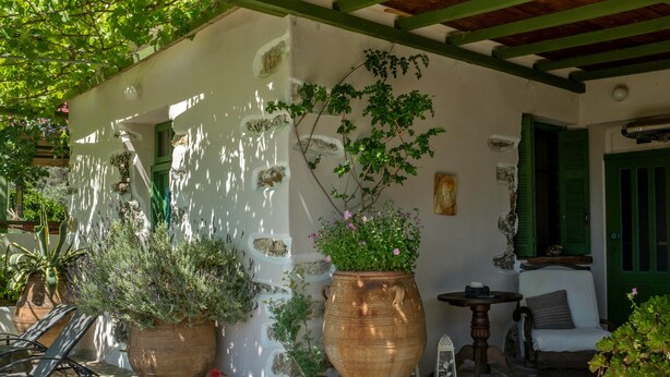 A rustic outdoor seating area with a stone floor, large potted plants, and a wooden table.