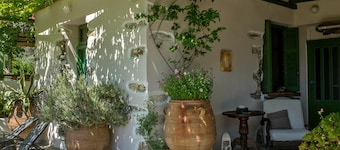 Traditional stone cottage house in green landscape