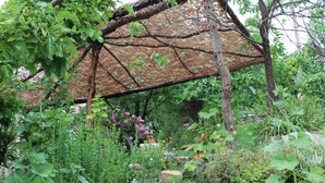 A garden with a rustic wooden pergola, various plants, and a stone wall.