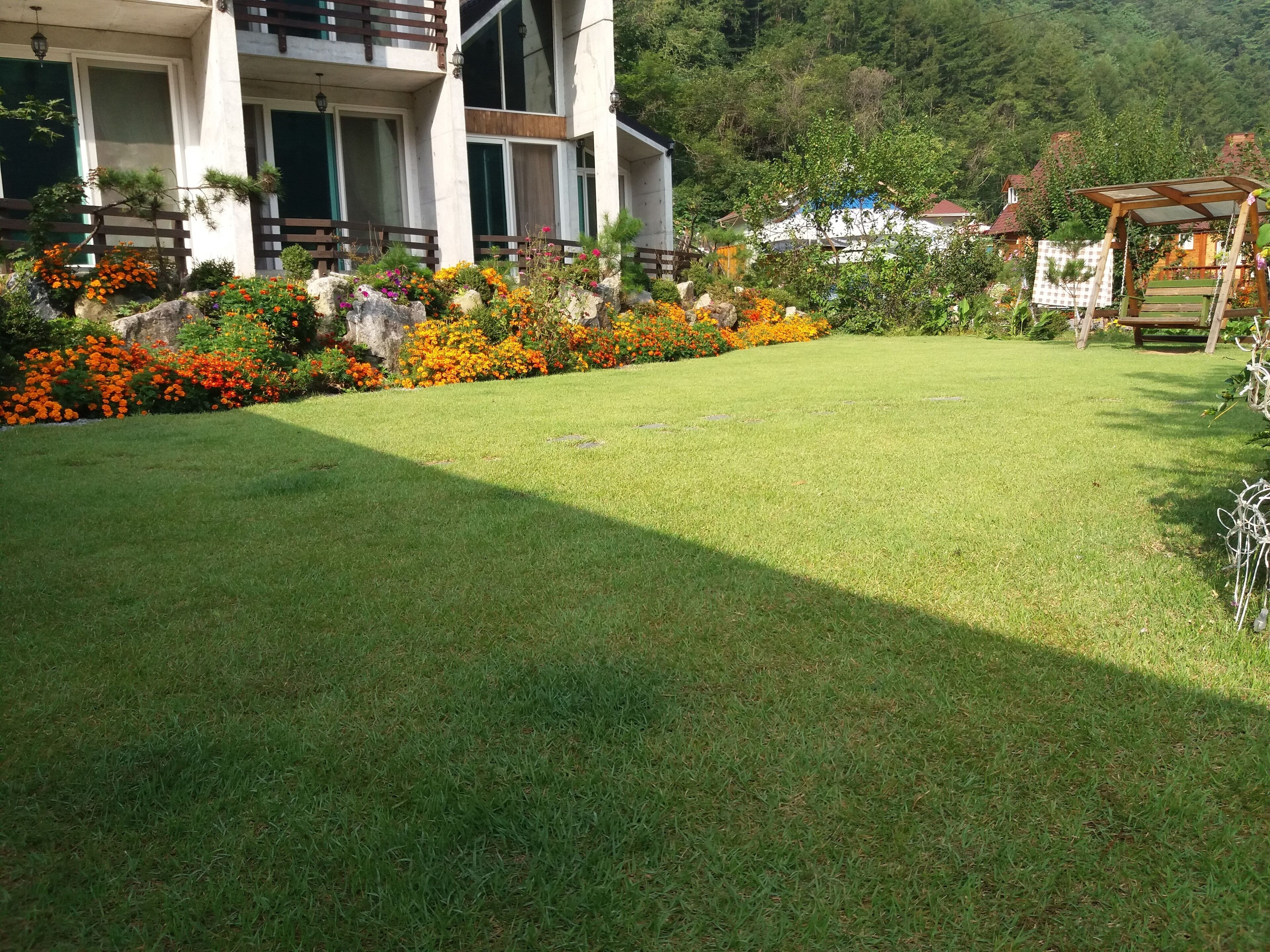 A well-maintained lawn with a variety of colorful flowers and shrubs, a wooden pergola, and a building with large windows and balconies.