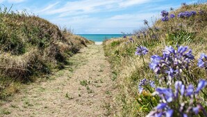 Um caminho costeiro com flores silvestres e vista clara do mar.